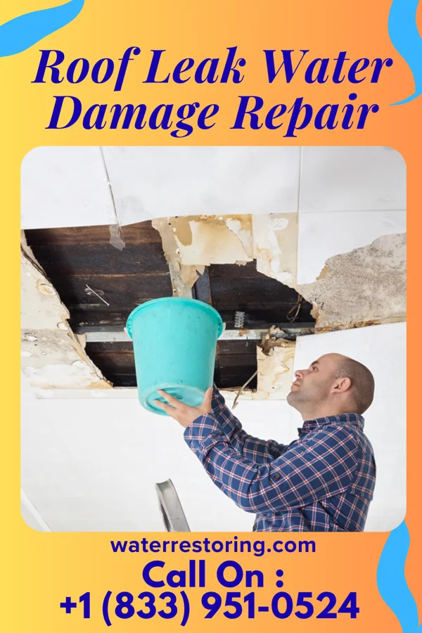Roof Leak Water Damage Repair in Spencer, IA